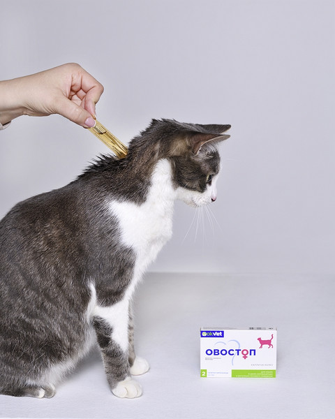 Изображение товара Капли для регуляции половой активности у животных Агроветзащита Овостоп для кошек (2 пипетки)