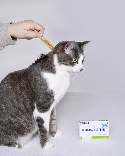 Изображение товара Капли для регуляции половой активности у животных Агроветзащита Овостоп-К для котов (2 пипетки)