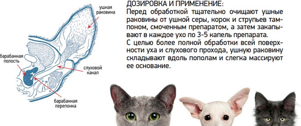 Изображение товара Капли для лечения ушей у животных ТОП-ВЕТ Отоферонол (10мл)