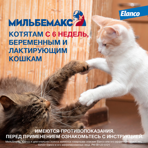 Изображение товара Таблетки от глистов Elanco Мильбемакс для кошек (2 таблетки)