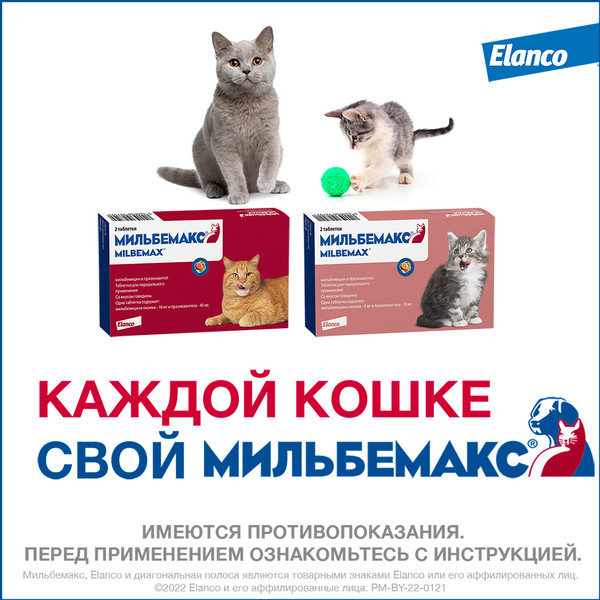 Изображение товара Таблетки от глистов Elanco Мильбемакс для кошек (2 таблетки)