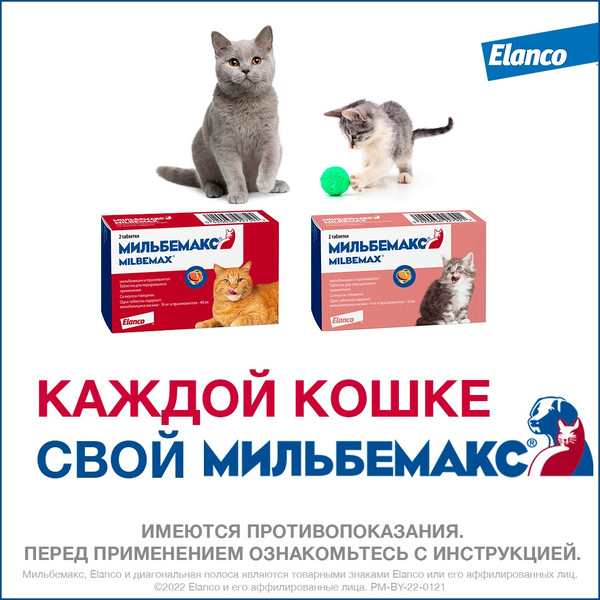 Изображение товара Таблетки от глистов Elanco Мильбемакс для котят (2 таблетки)