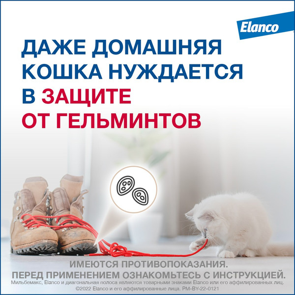Изображение товара Таблетки от глистов Elanco Мильбемакс для котят (2 таблетки)