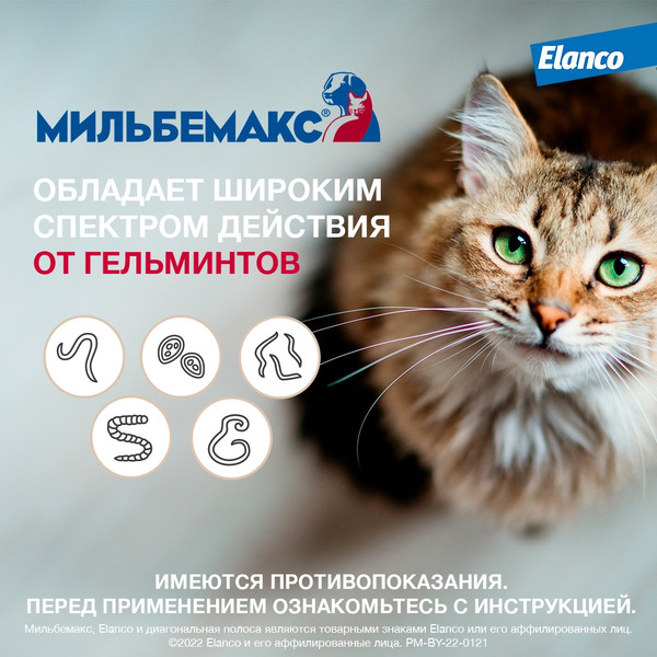 Изображение товара Таблетки от глистов Elanco Мильбемакс для котят (2 таблетки)
