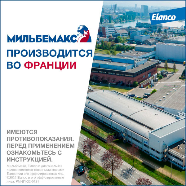 Изображение товара Таблетки от глистов Elanco Мильбемакс для котят (2 таблетки)