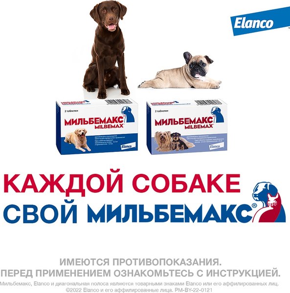 Изображение товара Таблетки от глистов Elanco Мильбемакс для крупных собак (2 таблетки)