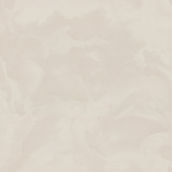 Изображение товара Виниловые обои Euro Decor Euphoria 8078-12
