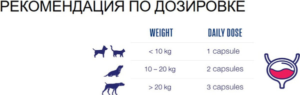 Изображение товара Таблетки для лечения мочеполовой системы у животных GIGI Уро-Урси (14 таблеток)