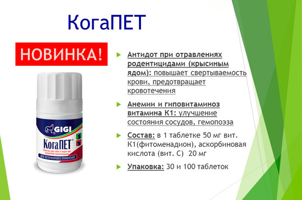 Изображение товара Иммуномодулятор для животных GIGI КогаПет (30 таблеток)