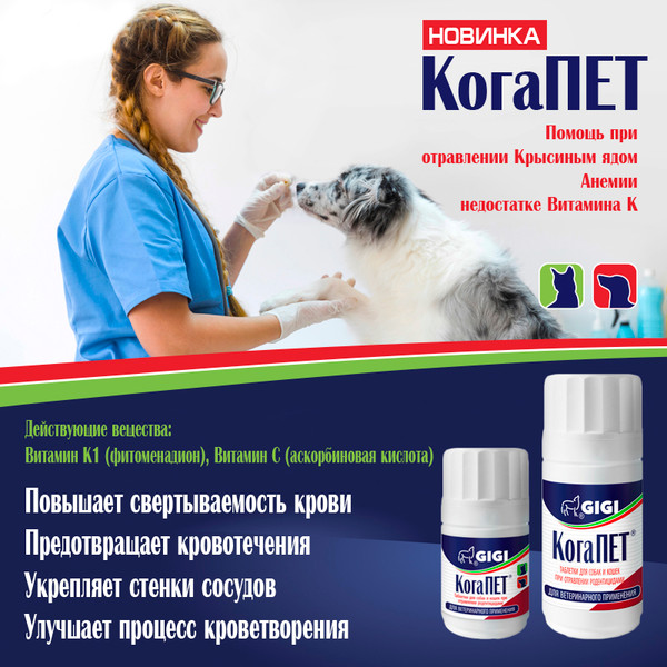 Изображение товара Иммуномодулятор для животных GIGI КогаПет (30 таблеток)