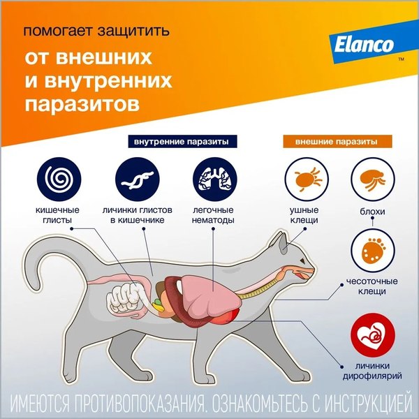 Изображение товара Капли от паразитов Elanco Адвокат для котов 4-8кг (3x0.8мл)