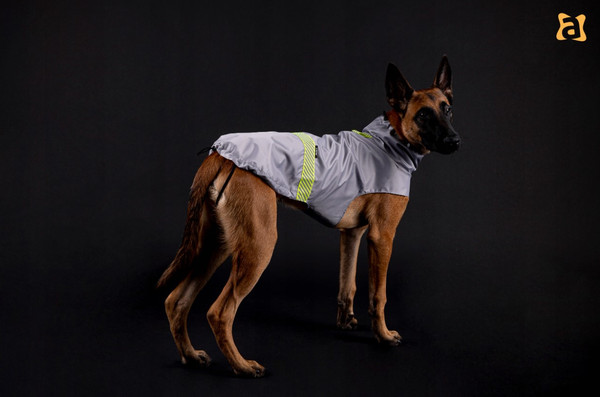 Изображение товара Жилетка для животных Ami Play Cветоотражающее 25см (серый)