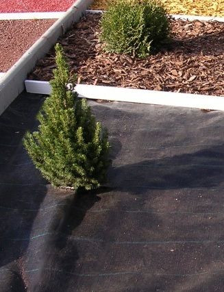 Изображение товара Укрывной материал GreenTerra Агроткань UV 100 г/м2 4.2x100м (черный)