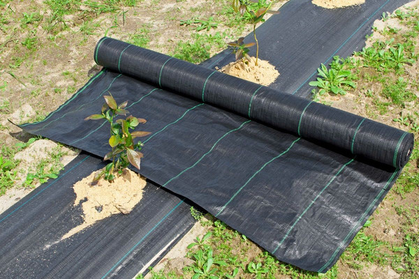 Изображение товара Укрывной материал GreenTerra Агроткань UV 100 г/м2 4.2x100м (черный)