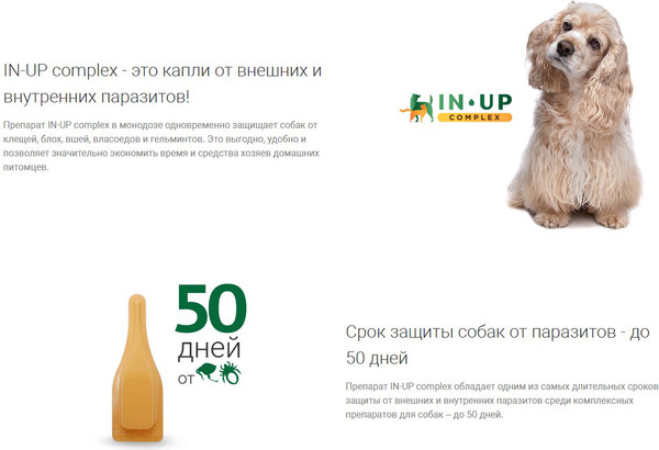 Изображение товара Капли от паразитов IN-UP комплекс для собак 10-20кг (2мл)