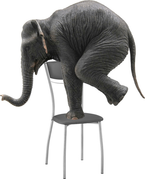 Изображение товара Стул Woodville Goki (серый полимер/светлый мусс)