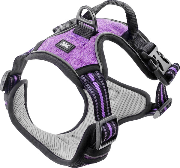 Изображение товара Шлея-жилетка для животных Ferplast Vigor светоотражающая / 78008219 (S, фиолетовый)