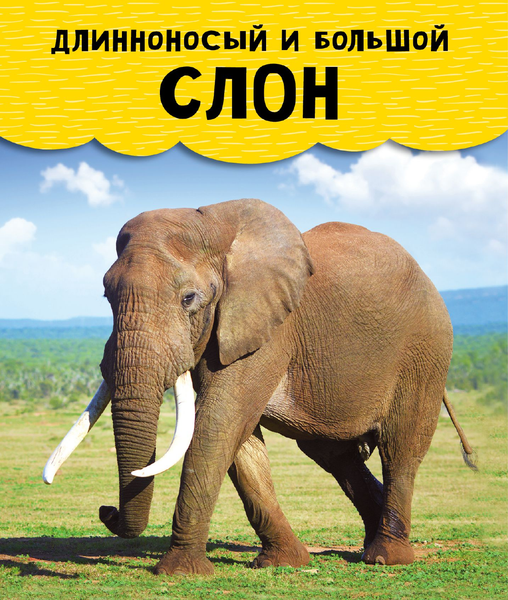 Изображение товара Энциклопедия АСТ Животные, твердая обложка