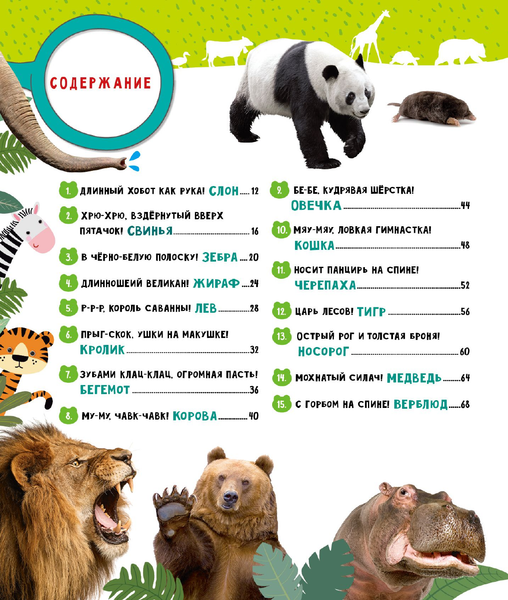 Изображение товара Энциклопедия АСТ Животные, твердая обложка