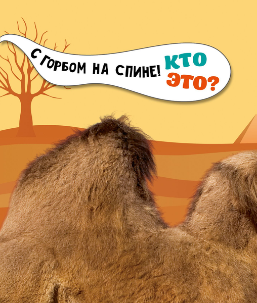 Изображение товара Энциклопедия АСТ Животные, твердая обложка