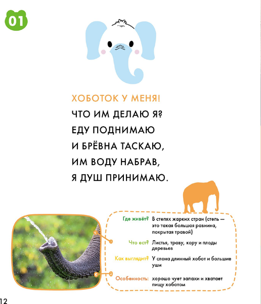 Изображение товара Энциклопедия АСТ Животные, твердая обложка