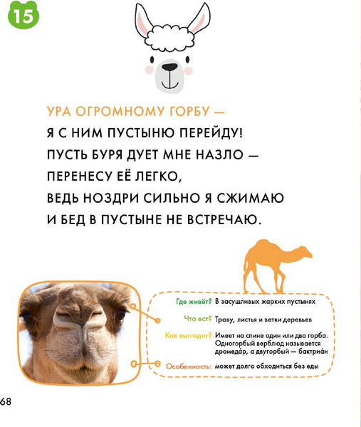 Изображение товара Энциклопедия АСТ Животные, твердая обложка