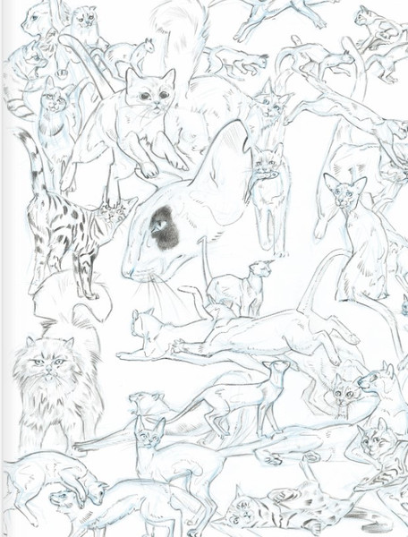 Изображение товара Книга АСТ Кошачий рай, твердая обложка (Золя Эмиль)