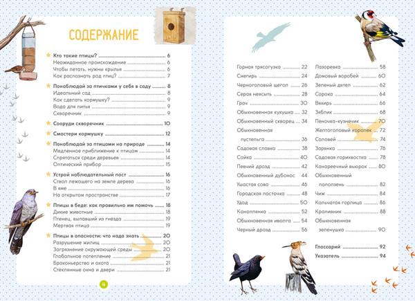 Изображение товара Энциклопедия Махаон Птицы, мягкая обложка (Лучези Мишель)