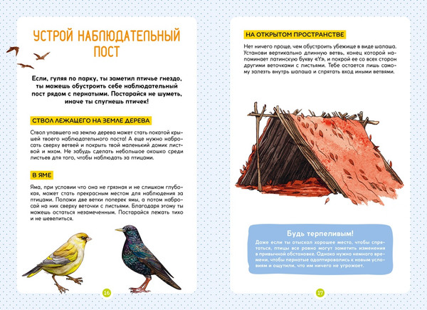 Изображение товара Энциклопедия Махаон Птицы, мягкая обложка (Лучези Мишель)