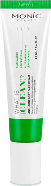 Изображение товара Крем для лица Monic Beauty What is clean? Точечный анти акне (20мл)