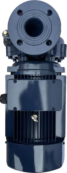 Изображение товара Циркуляционный насос Maxpump F 50-200/185
