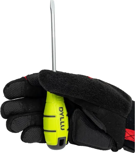 Изображение товара Отвертка DYLLU SL5.5 100мм / DTSDA254