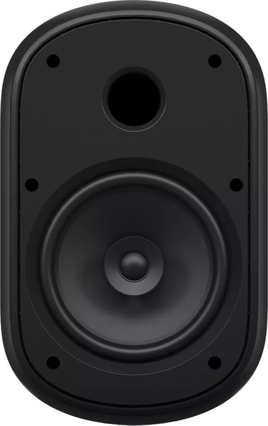 Изображение товара Настенная акустика Tannoy DVS 801