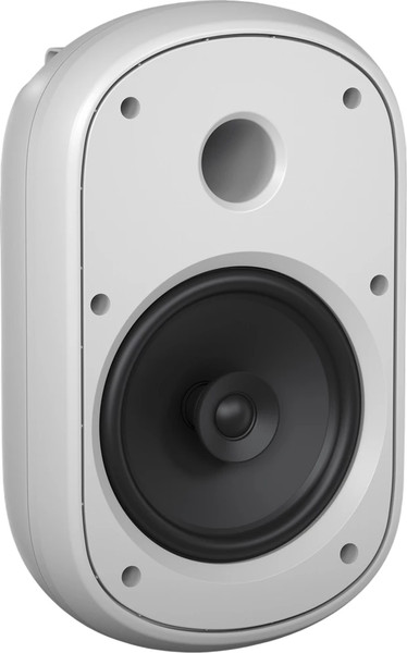 Изображение товара Настенная акустика Tannoy DVS 801-WH