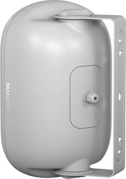 Изображение товара Настенная акустика Tannoy DVS 401-WH