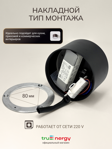 Изображение товара Точечный светильник Truenergy 11500