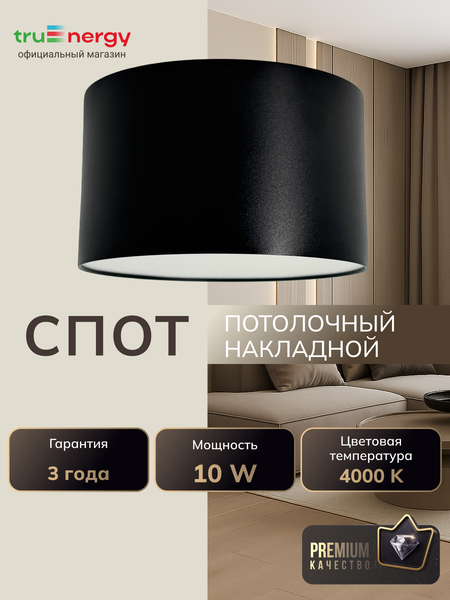 Изображение товара Точечный светильник Truenergy 11500
