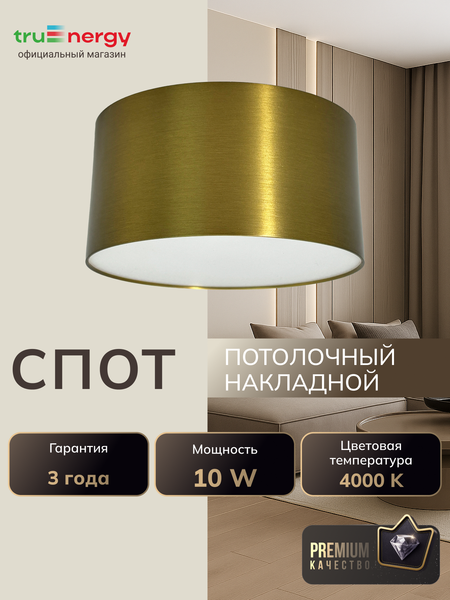 Изображение товара Точечный светильник Truenergy 11502