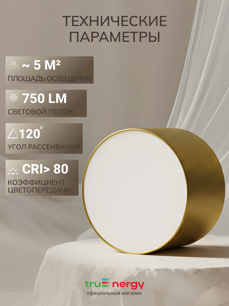 Изображение товара Точечный светильник Truenergy 11502
