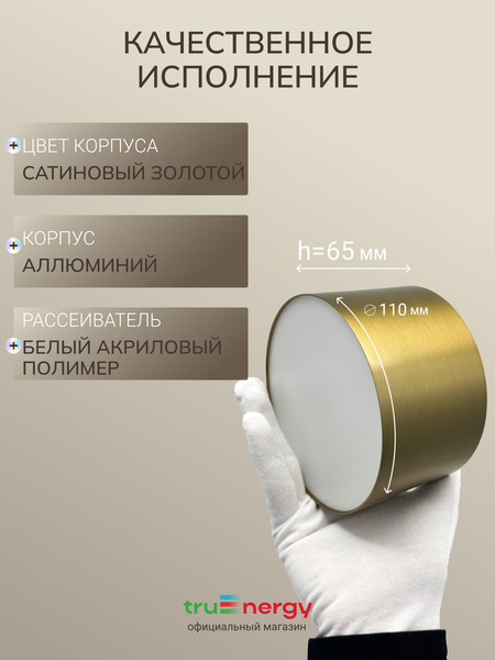 Изображение товара Точечный светильник Truenergy 11502