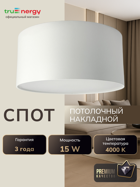 Изображение товара Точечный светильник Truenergy 11506