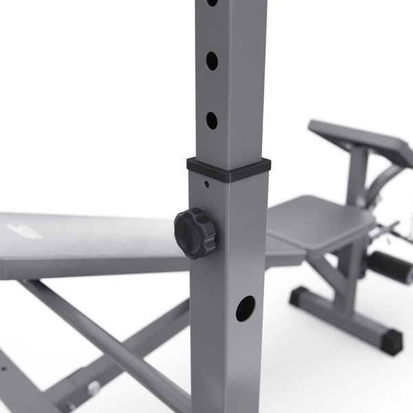 Изображение товара Скамья для жима штанги DFC D707