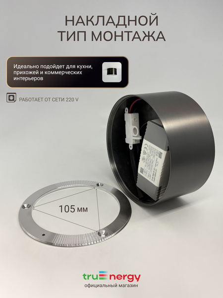 Изображение товара Точечный светильник Truenergy 11509