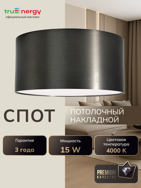 Изображение товара Точечный светильник Truenergy 11509