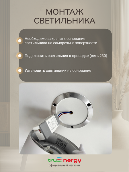 Изображение товара Спот Truenergy 11510