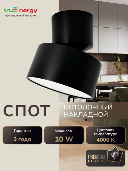 Изображение товара Спот Truenergy 11510