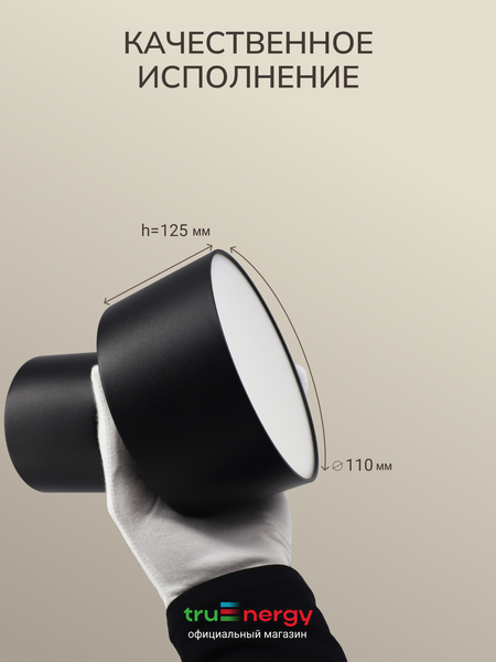 Изображение товара Спот Truenergy 11510