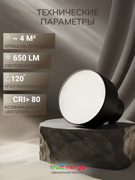 Изображение товара Спот Truenergy 11510
