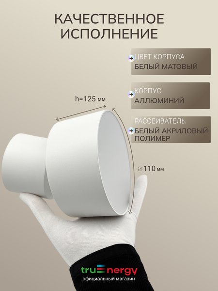 Изображение товара Спот Truenergy 11511