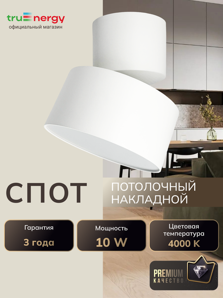 Изображение товара Спот Truenergy 11511